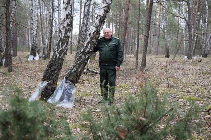 Лісничий Черевахівського лісництва ДП «Маневицьке ЛГ» Сергій Хомич.