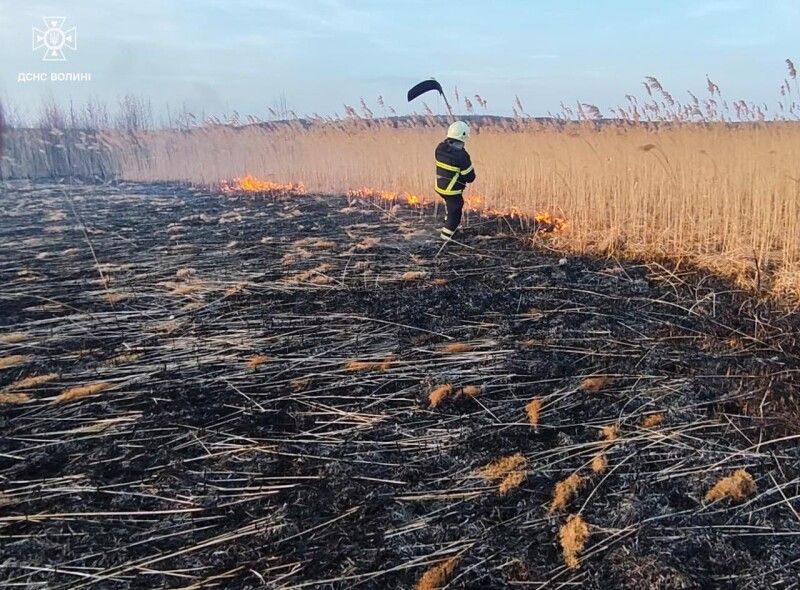 Фото: ДСНС Волині.