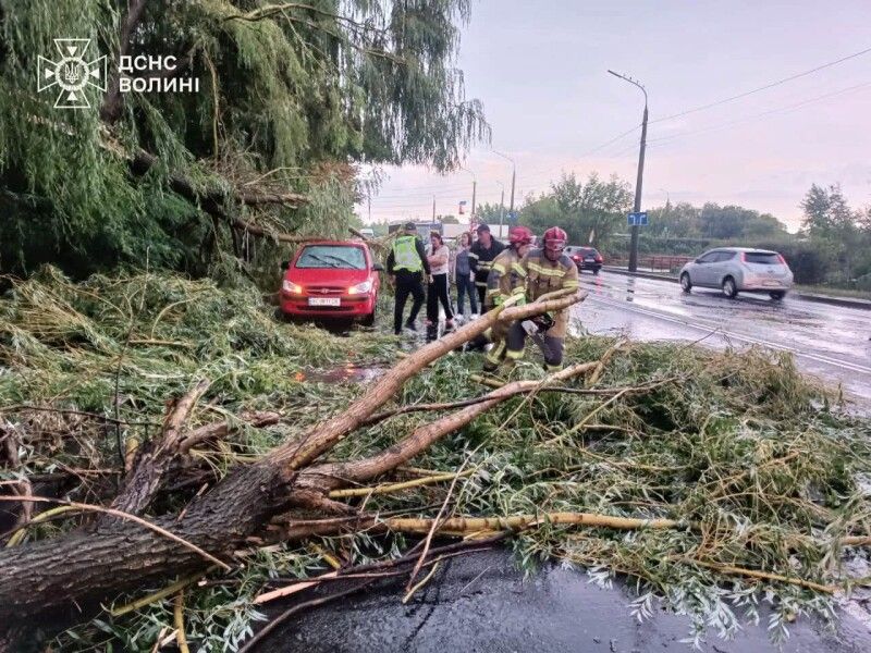Фото: ДСНС Волині.