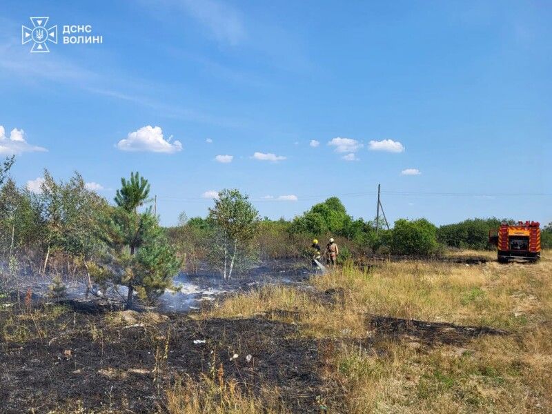 Фото: ДСНС Волині. 