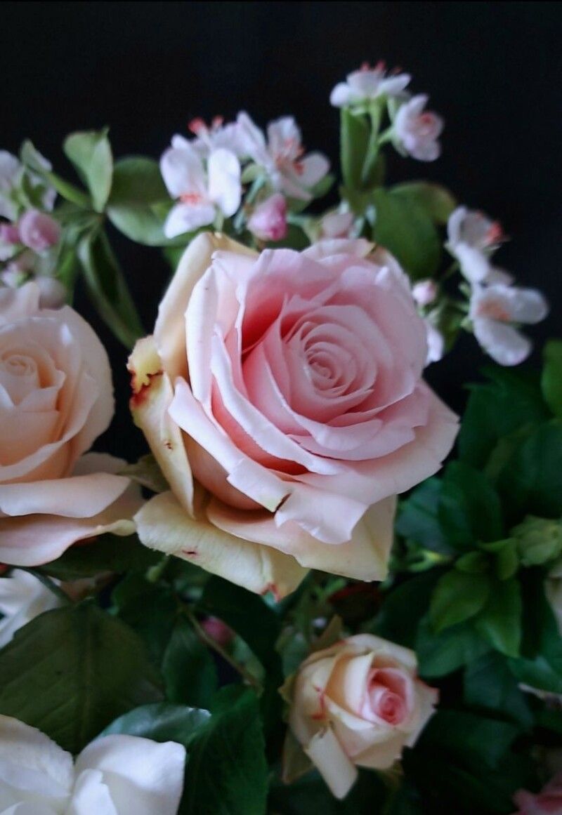 «Троянди – мої улюблені, повз них ніколи не можу пройти. Але ці можна їсти, бо створила їх я».