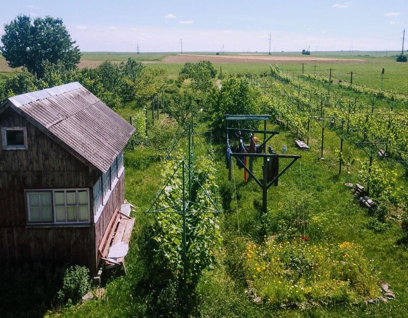 «Територія натхнення нашого тата. Щоб була така краса, потрібні неймовірні Праця і Любов».