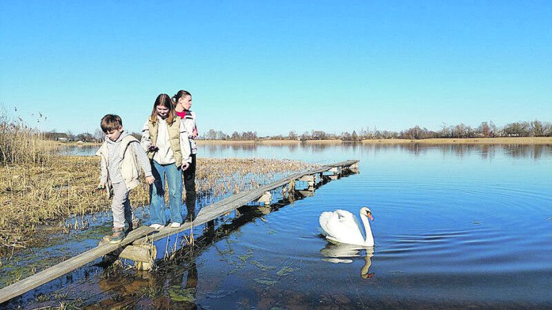 Переселенці із Броварів та Києва встигли вже побачити красу озерного Волинського краю.