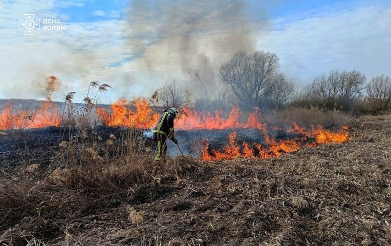  Ймовірна причина – необережне поводження з вогнем невстановлених осіб... Фото: ДСНС Волині.
