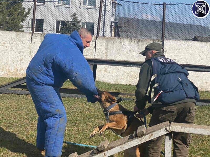 Фото: Маневицька виправна колонія.