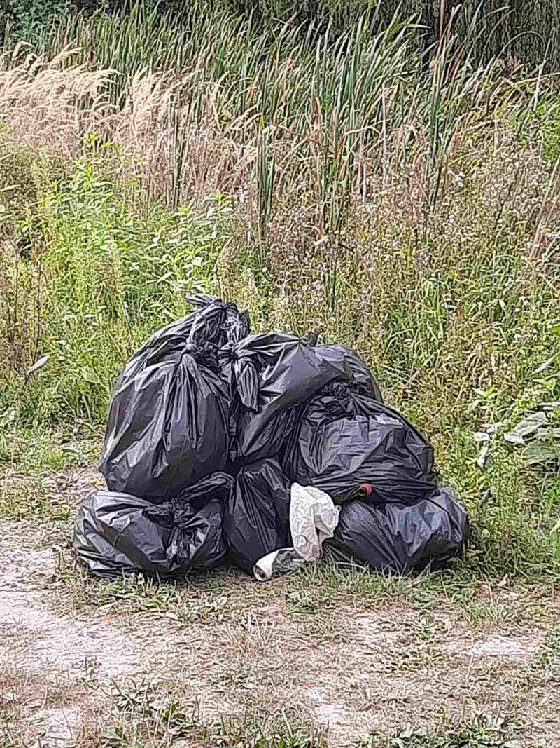 На побережжі озера стало чистіше.