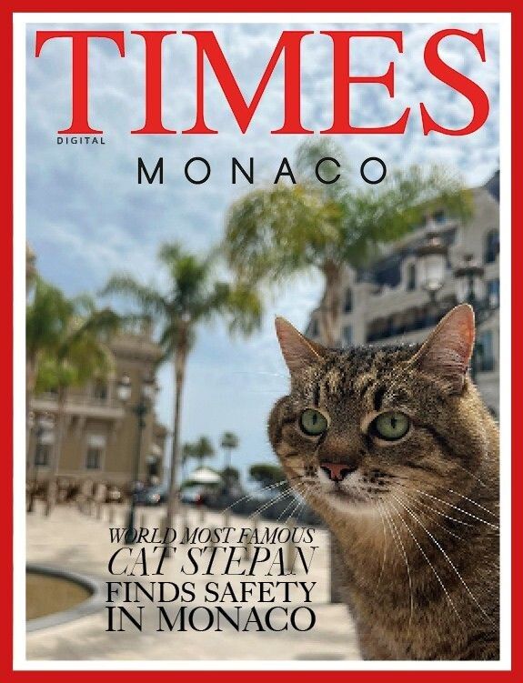 Світлину харизматичного сірого пухнастика з України помістив  на своїй обкладинці журнал Times Monaco. 