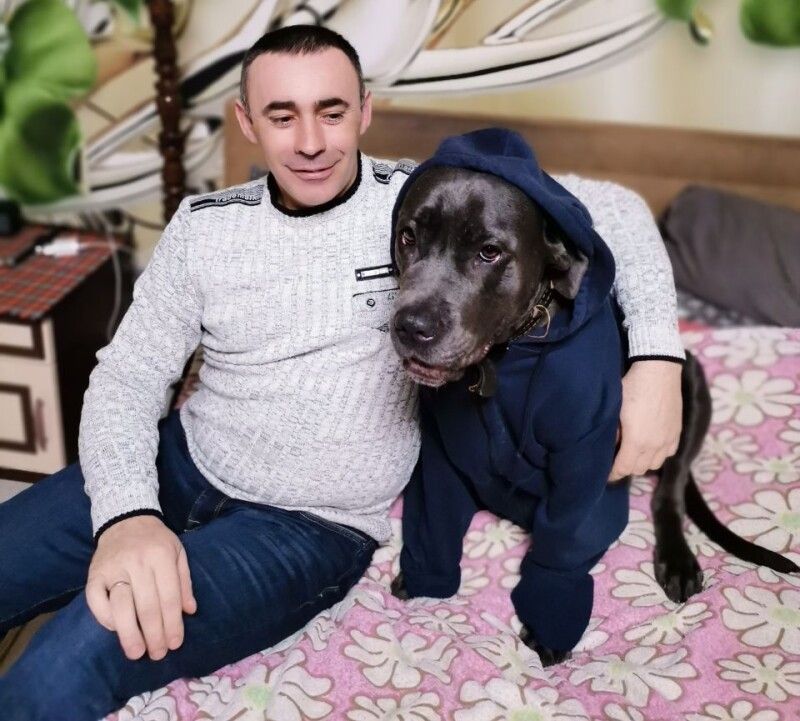Собаку породи кане-корсо дружина подарувала коханому ще до війни – він її виростив із маленького цуценяти. 