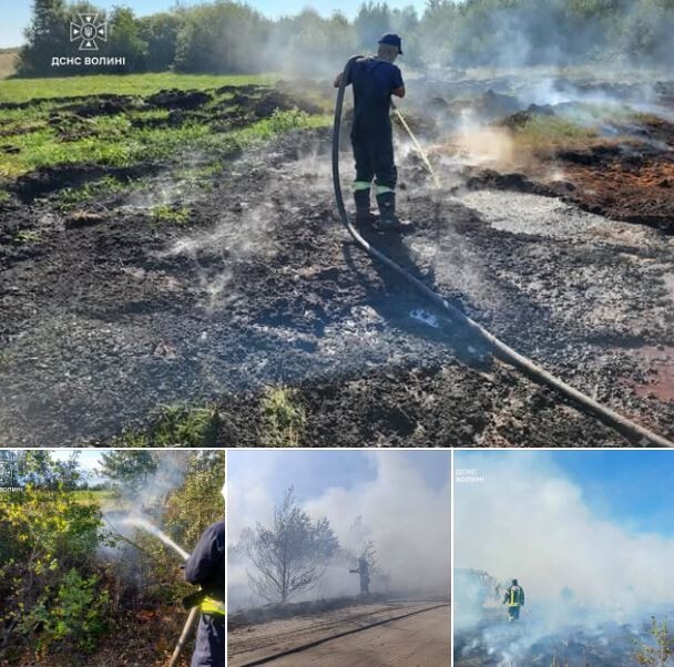 Фото: ДСНС Волині.