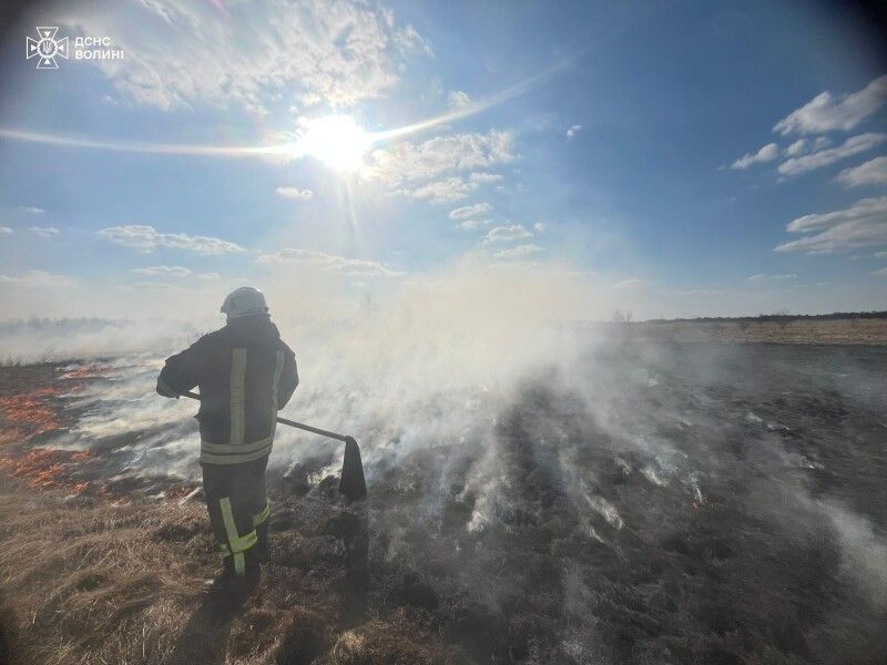 З початку року в області ліквідовано 189 пожеж.