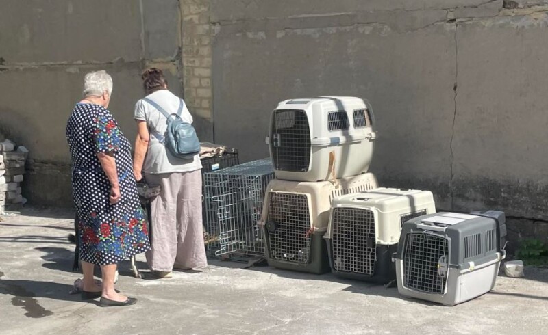 Дві переселенки погодились переїжджати тільки зі своїми тваринами.