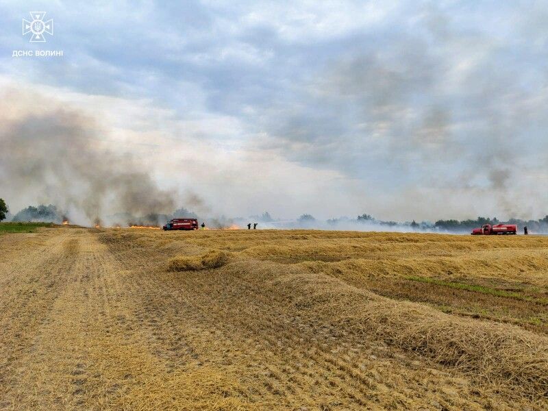 Фото: ДСНС Волині.