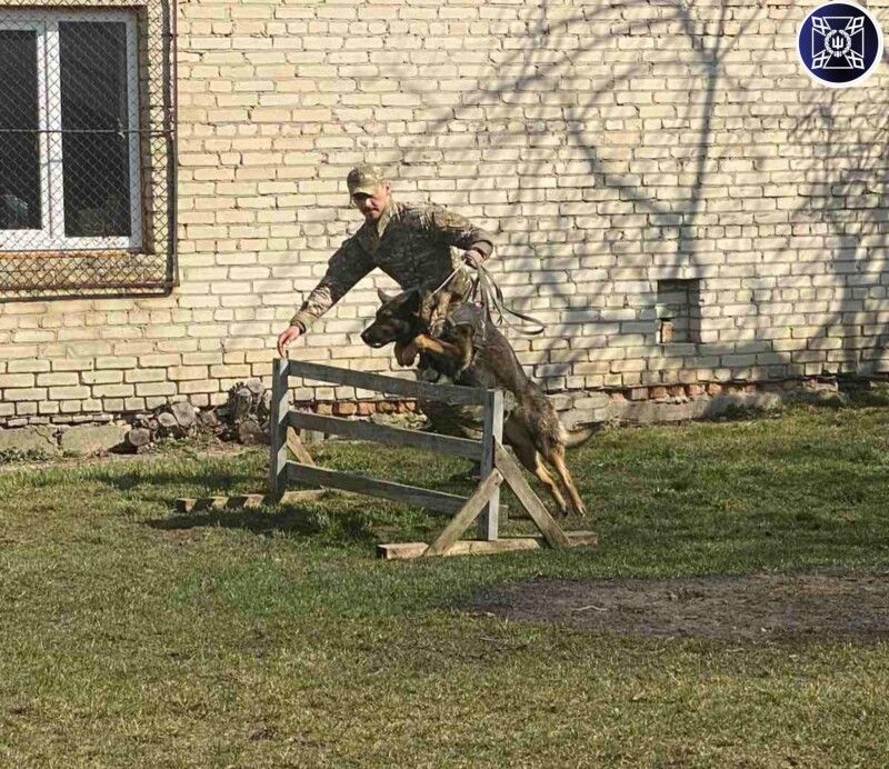 Фото: Маневицька виправна колонія.