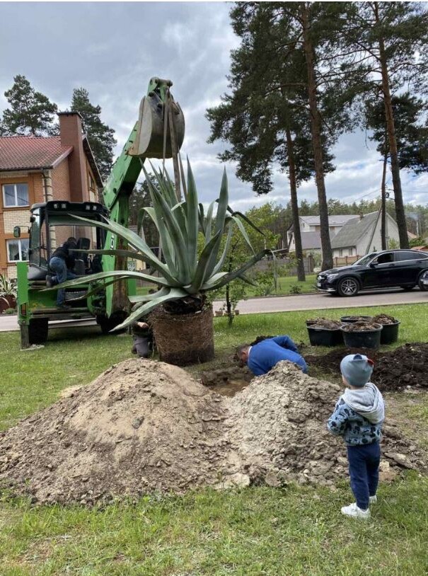 Фото із домашнього архіву родини ВАВДІЙЧИКІВ.