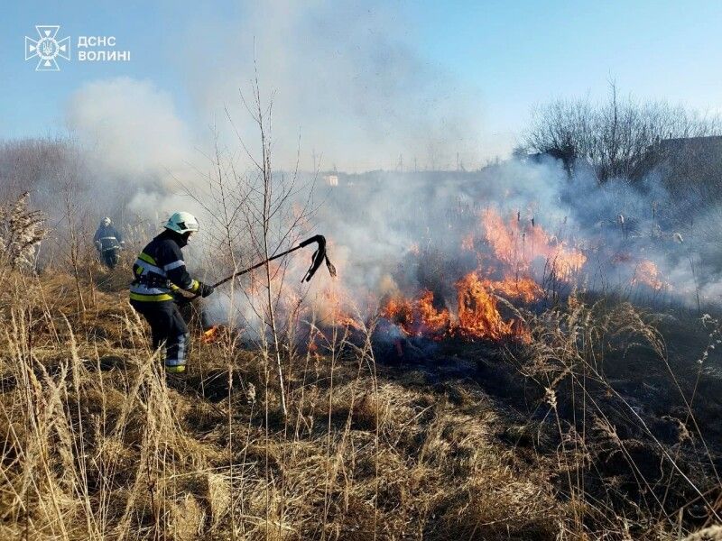 Фото: ДСНС Волині.