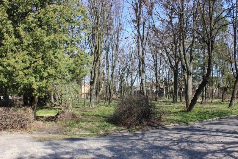 Парк площею понад 2 гектари сьогодні – це не облагороджена місцевість, де багато високорослих дерев і майже немає спеціальних зон відпочинку.