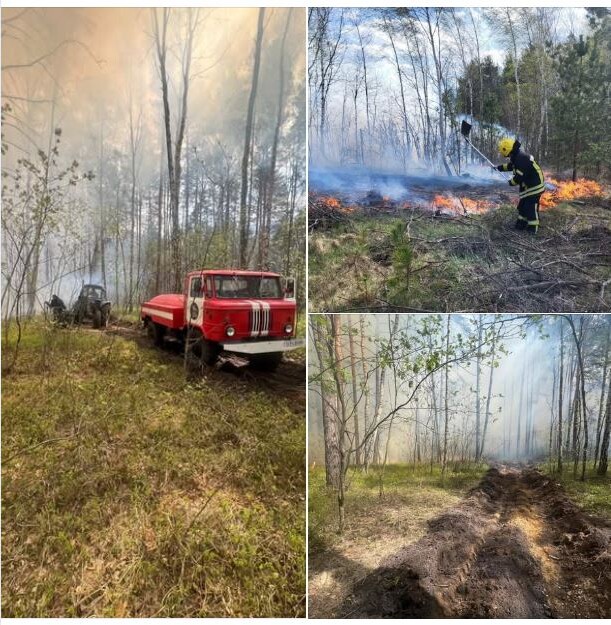 Фото: ДСНС Волині.