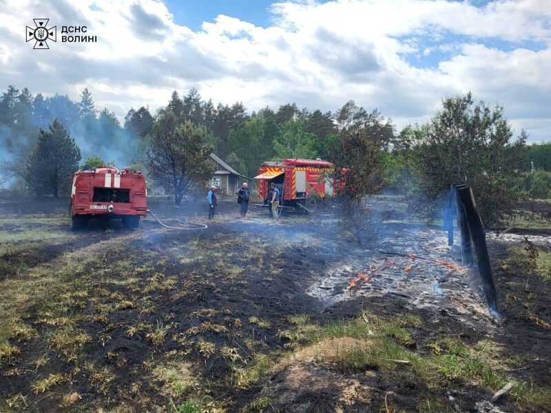 Фото: ДСНС Волині.