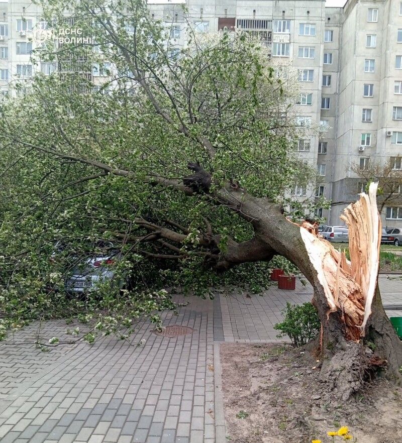 Фото: ДСНС Волині.