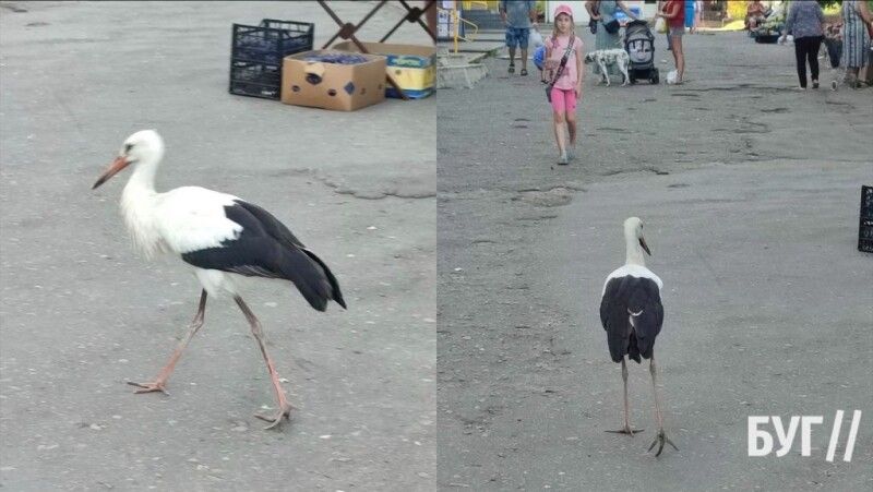 Оце так!
