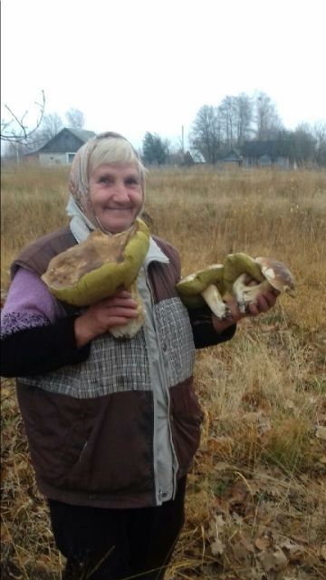 Василина Стручева назбирала таких красенів під хатою.