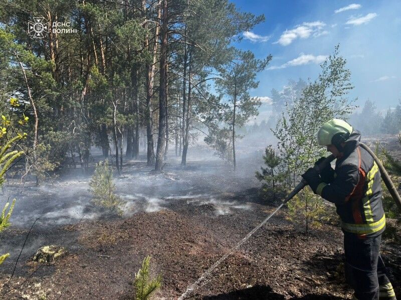 Якої біди наробила пожежа поблизу села Комарове Маневицької громади. 