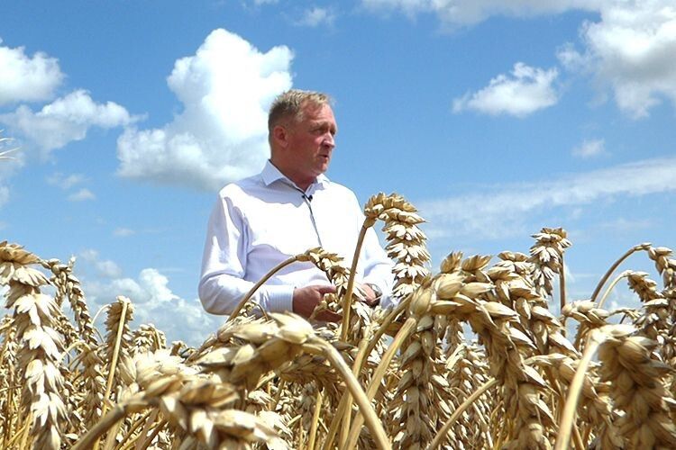 Віктор Шумський: «Районовані сорти зернових вітчизняної селекції дають кращі врожаї, ніж імпортні».
