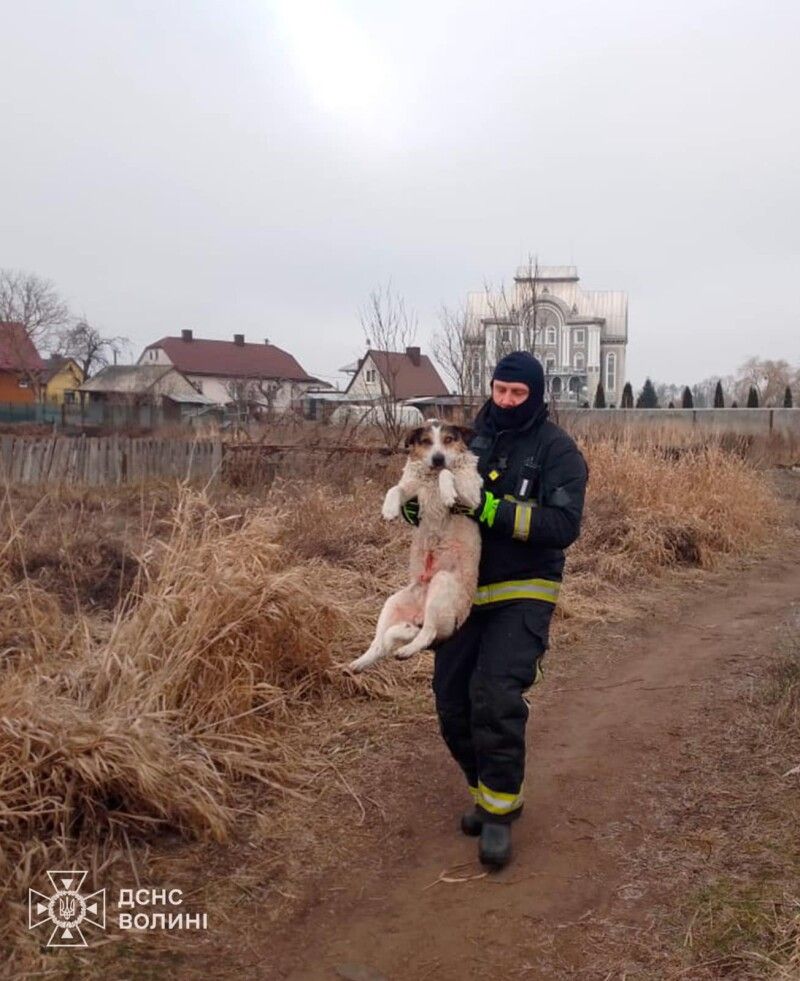 Фото – ДСНС Волині.