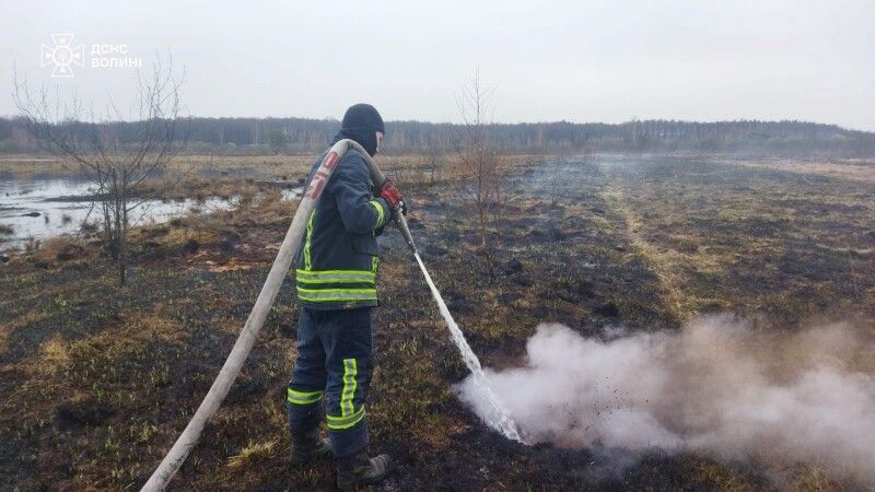 Фото: ДСНС Волині.