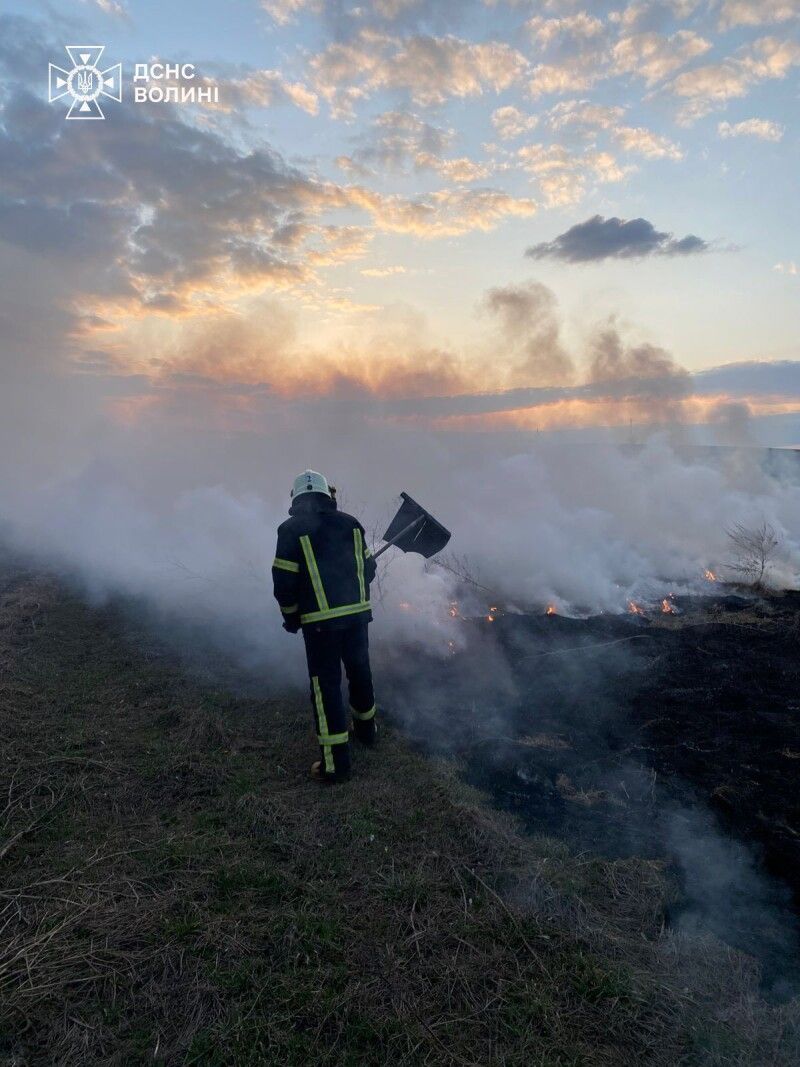 Фото: ДСНС Волині.