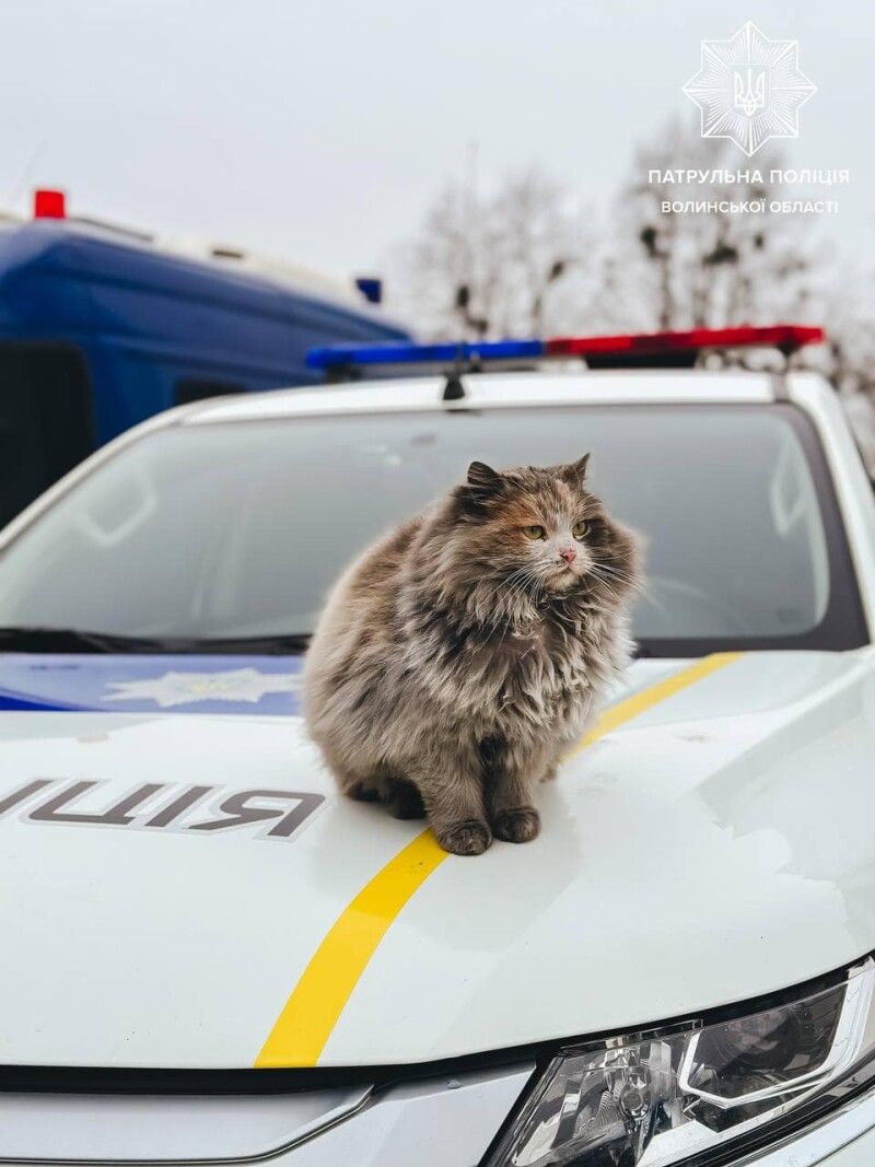 Фото – Патрульна поліція Волині.