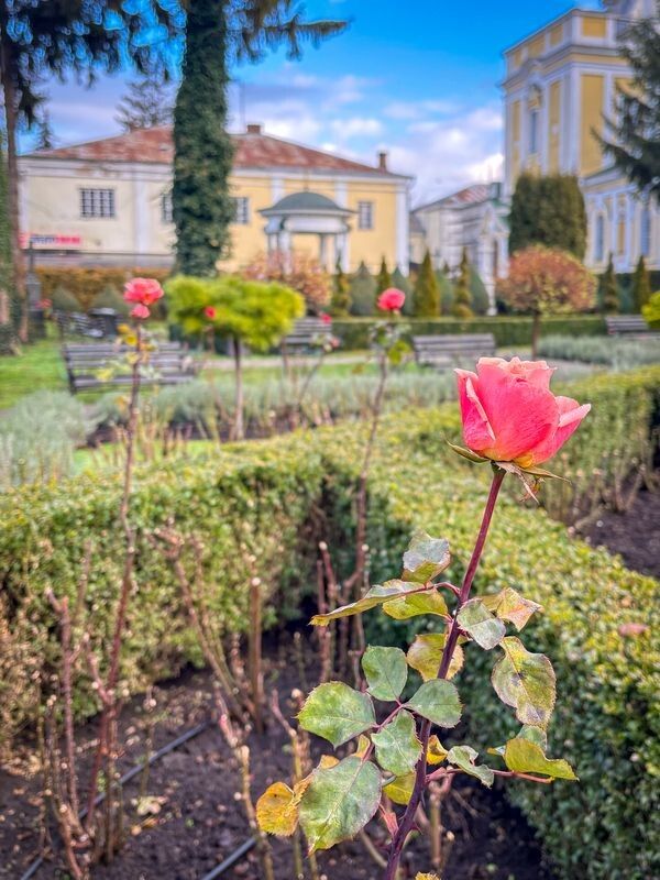 Фото: pravoslaviavolyni.org.ua.