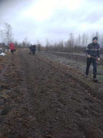 Посадили десять соток