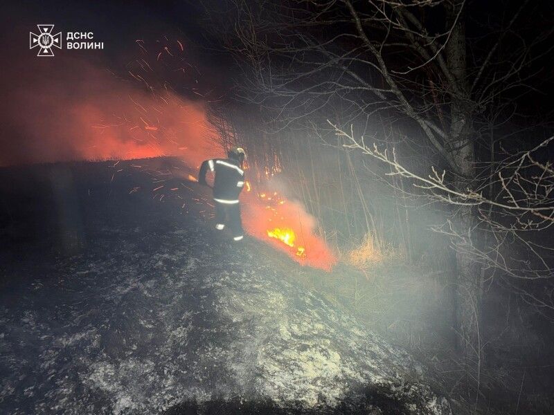 Фото: ДСНС Волині.