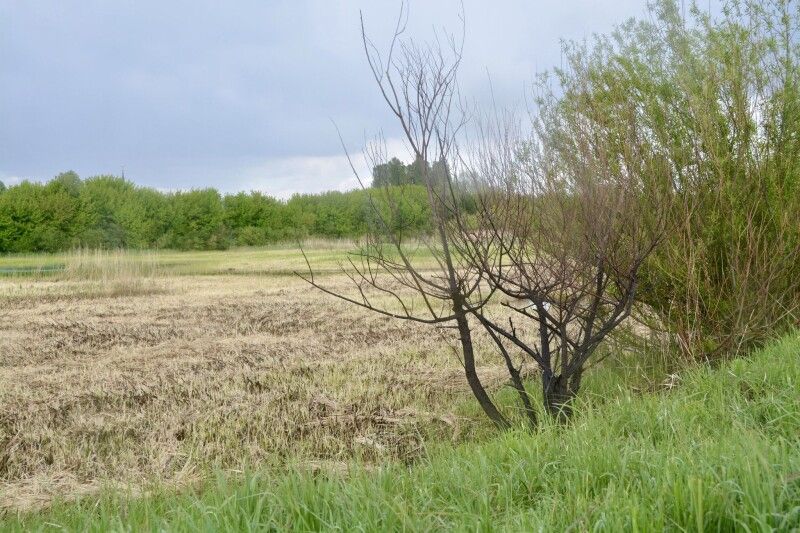 Фото: Луцька міська рада.