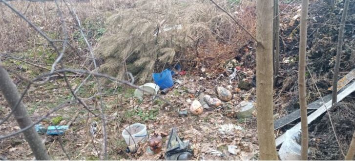 Фото: Маневицька селищна рада.