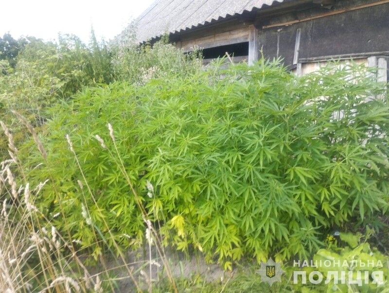 Фото із сайту – vl.npu.gov.ua.