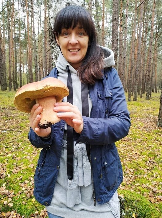 Справді видатний гриб!