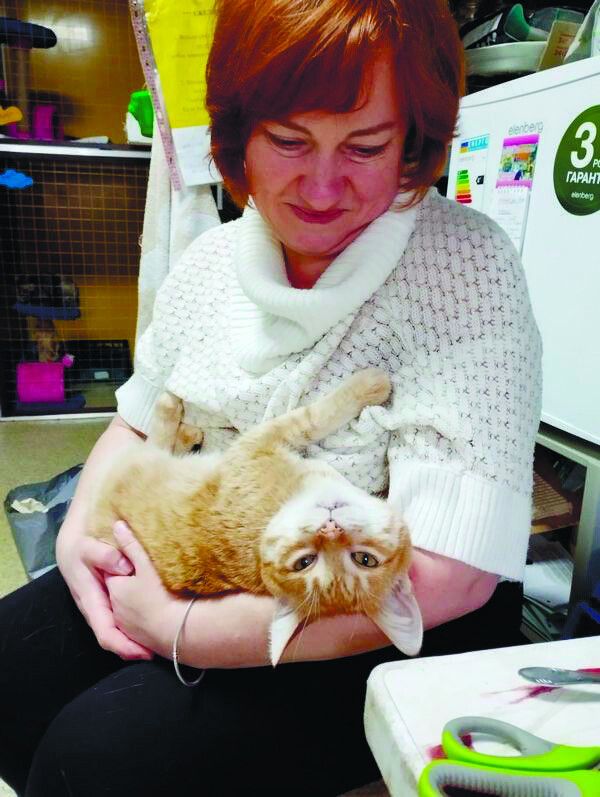 Наталія обожнювала котів  і волонтерила в притулку для тварин.