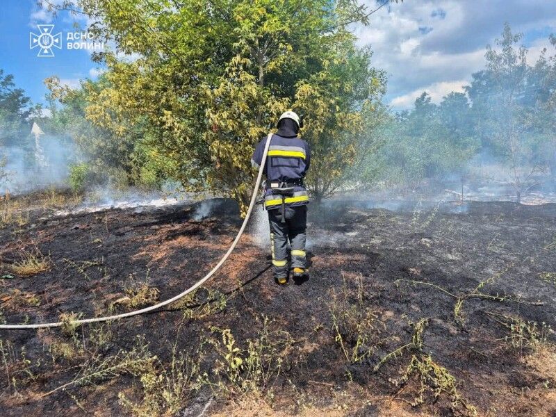 Фото: ДСНС Волині.