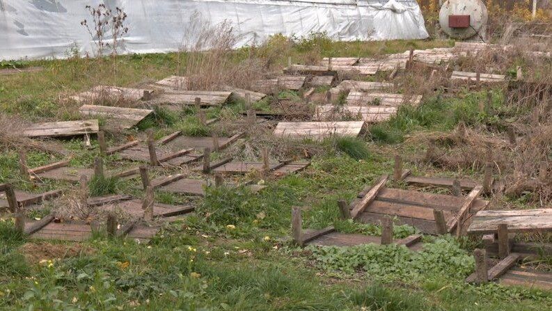 Території равликової ферми в Торчині. Фото: «Суспільне Луцьк».