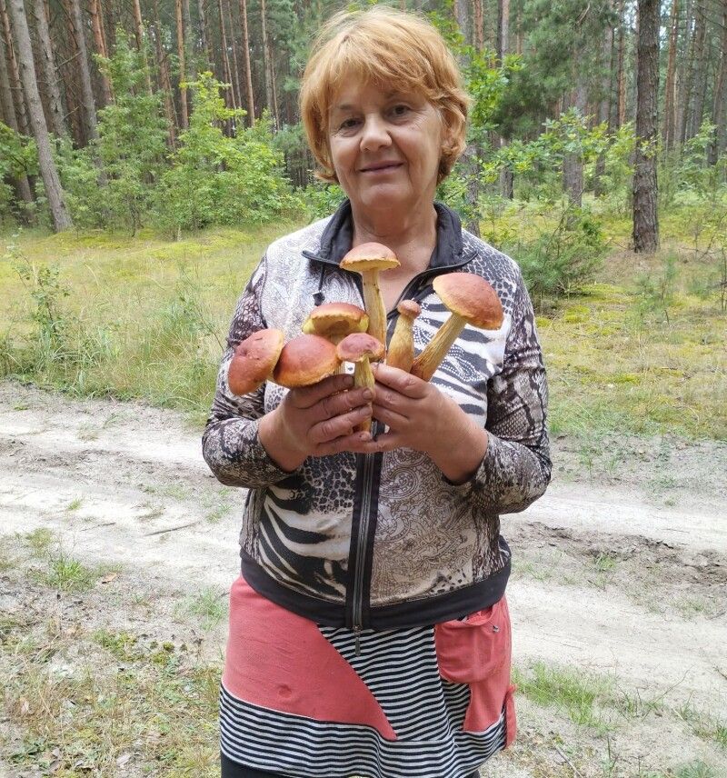 «Цьогоріч я вперше збирала золотистий боровик. Емоції – зашкалюють. Відчуття – неймовірні», – радіє Марія Чолак.