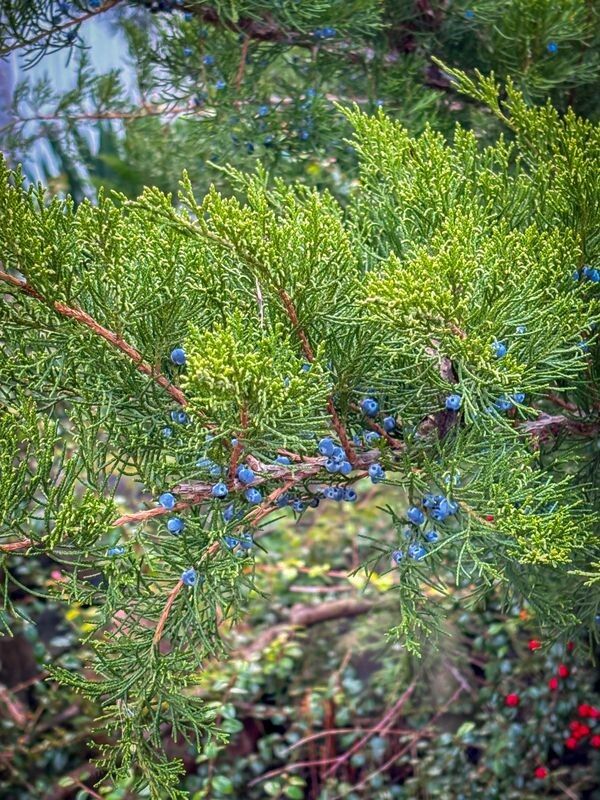 Фото: pravoslaviavolyni.org.ua.