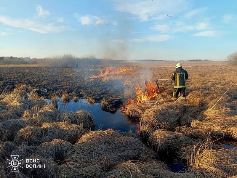 Фото: ДСНС Волині.