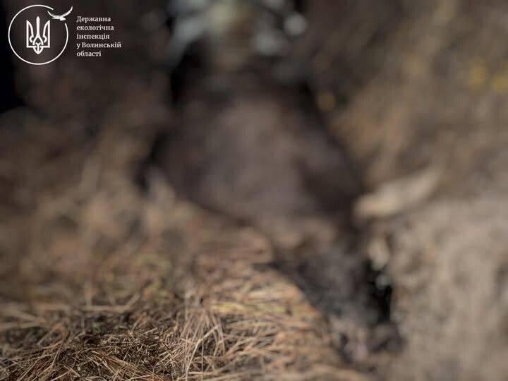 Триває встановлення всіх обставин події.