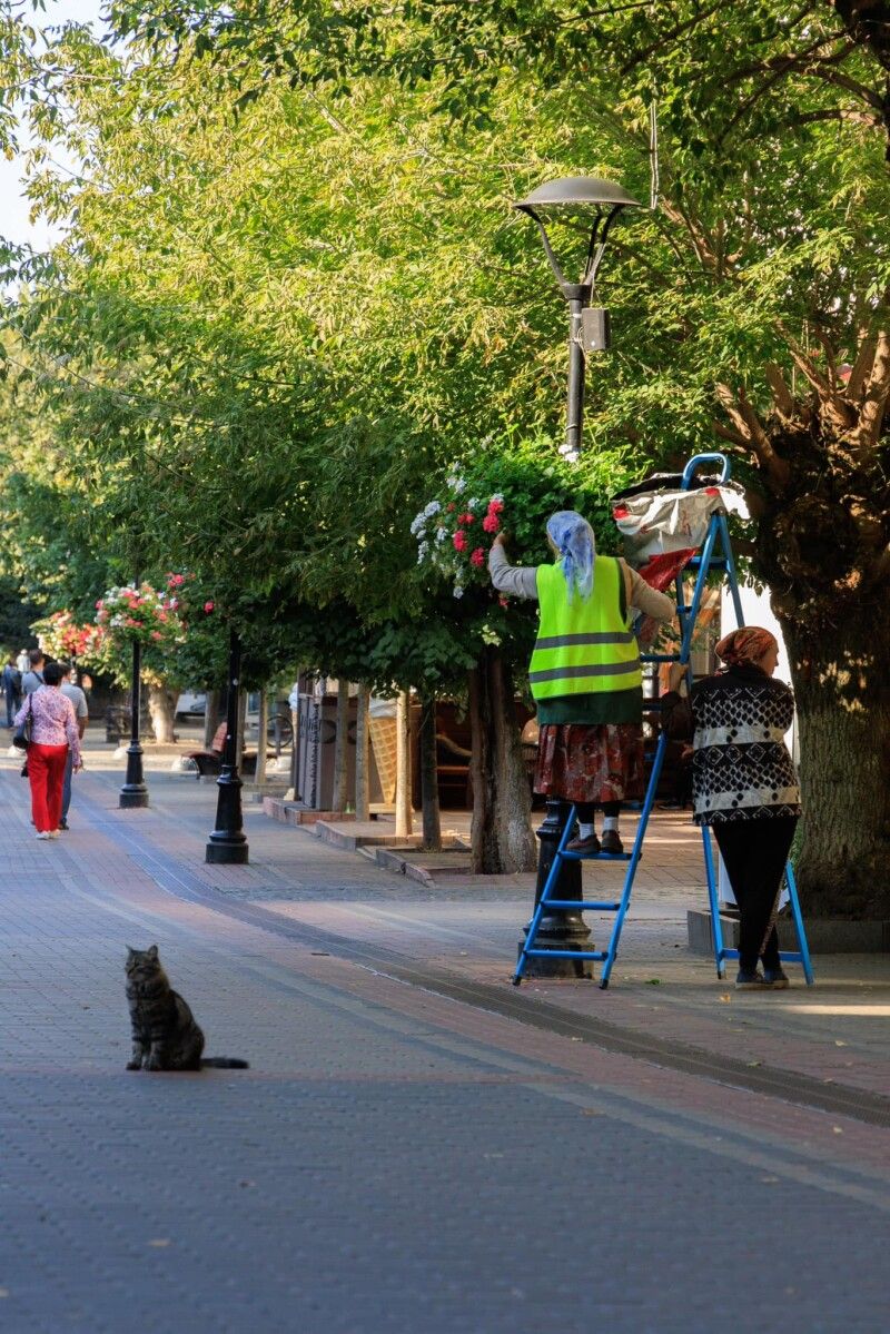 На вулиці Лесі Українки.