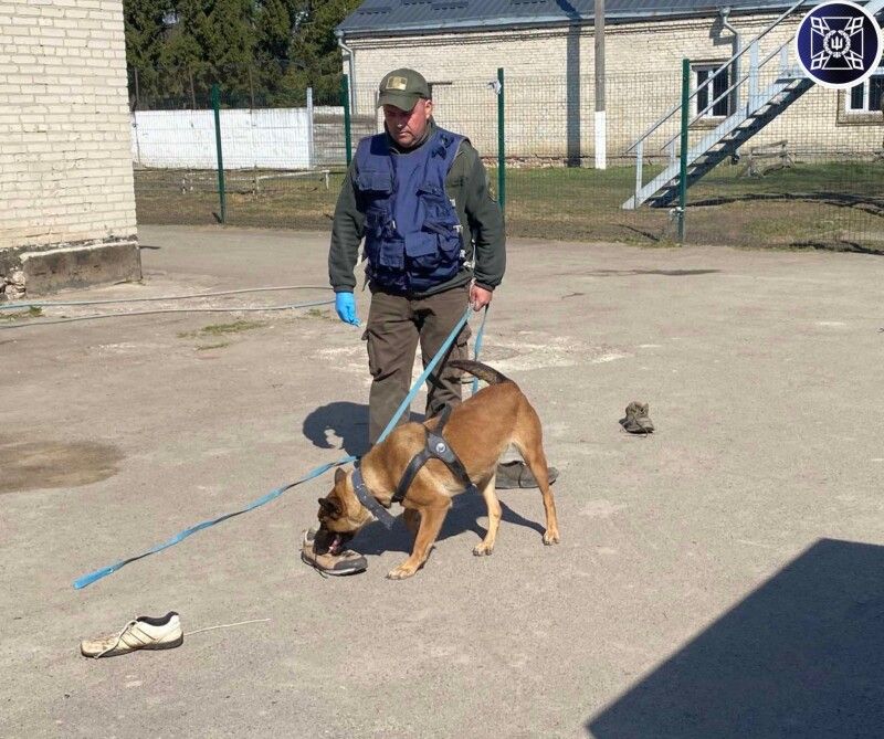 Фото: Маневицька виправна колонія.