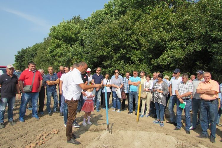 День поля розпочався з конференції на тему: «Переробка картоплі та правильний вибір сортів – ключові складові успішного бізнесу картоплярської галузі».