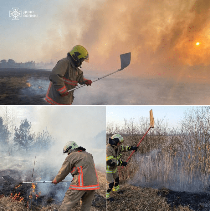 Причина займань – людська недбалість. Фото: ДСНС Волині.