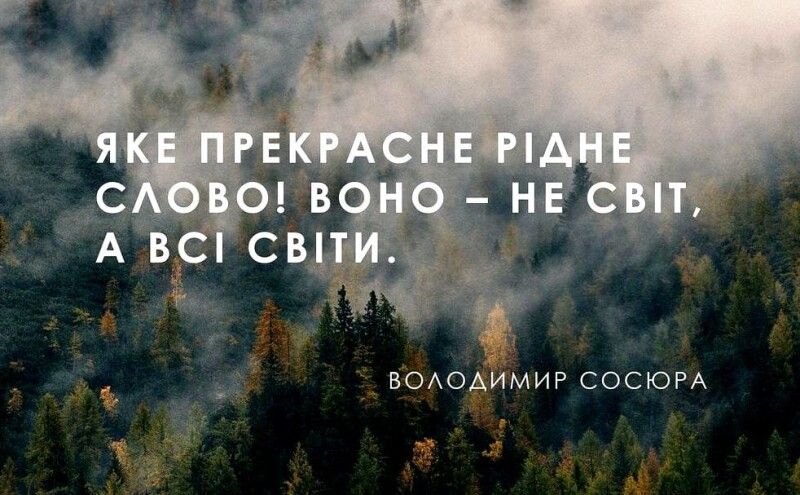 Фото з фейсбук-сторінки Ольги ВАЩУК.